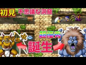 #8【ドラクエモンスターズ 】キングレオとアクバーそして…  配合たのしすぎ　テリーのワンダーランド を完全初見プレイ！ 【テリワン】PS版