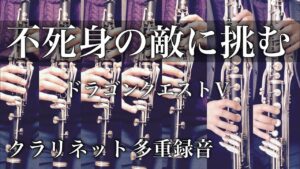 【ドラクエ5】不死身の敵に挑む(ボス戦BGM)SFC版をクラリネットで演奏してみた【DRAGON QUEST Ⅴ