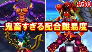 99％の人が挫折？やり込んだ人だけが見れる景色【ドラクエジョーカー３】#30