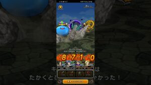 【ドラクエウォーク】ドラゴンクエストモンスターズ高難度　「エキストラリーグ」　テリー　フルオート　コスト３６０