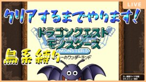 鳥系統縛り、クリアまで終われまてん！【ドラクエモンスターズテリーのワンダーランドRETRO 】【耐久】