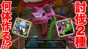 【DQMSL】フールフール泥率低くない!? 新討伐2種は何体育成する!?【ドラクエ】