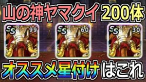 【DQMSL】ヤマクイ200体集めた結果！オススメ星付けはこれ！！自前夏ヴェーラ無しパパスの試練皆伝攻略！！！