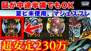 【DQMSL】ランクエ230万!証嫌い&ナシマジェスの叛逆!【超魔の試練】