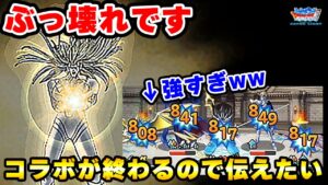 【DQMSL】ぶっ壊れ!?ヒムの魅力を伝えたい!【ダイコラボ杯W135】