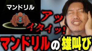 マンドリルの雄叫びでダメージを受けてしまった人のモノマネをする布団ちゃん【2022/7/7】