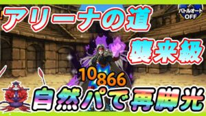 【DQMSL】アリーナの道 襲来級 自然系のみでクリア