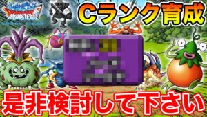 【DQMSL】ずっと使える有能Cランク!! 次回是非検討して頂きたいのはコレ!!【ドラクエ】