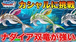 【DQMSL】ナダイア双竜大活躍!! カシャルに挑戦安定攻略!!【ドラクエ】