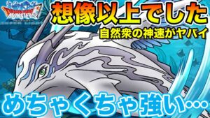 【DQMSL】カシャルの強さ想像以上でした…自然パ構築が変わるレベル!!【ドラクエ】