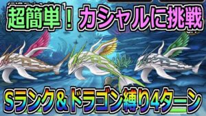 【DQMSL】カシャルに挑戦 仕組みが分かれば超簡単！ドラゴン縛り4ターン&Sランク縛り攻略！！！