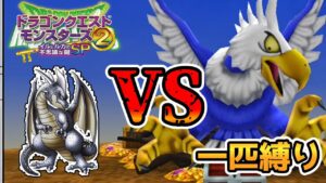 【イルルカSP縛りプレイ】ドラクエ界屈指のイケメンモンス【ドラクエモンスターズゆっくり実況】#12