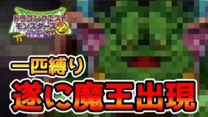 【イルルカSP縛りプレイ】死闘！魔物の頂点【ドラクエモンスターズゆっくり実況】#14