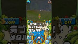 【イルルカSP】バグなのか仕様なのかわからない現象起こってもうたｗｗｗ詳しい方教えてください；；ドラクエモンスターズイルルカふしぎな鍵SP。一応Vtuber。【だいたか実況】