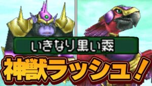 【ジョーカー2Pわらしべ縛り】3匹のモンスターを人生縛りで最強目指す！【ドラクエモンスターズゆっくり実況】#29（裏ストーリー編）