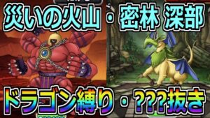 【DQMSL】災いの火山・密林深部 ドラゴン縛りと???抜き攻略！！！【災いの魔境】