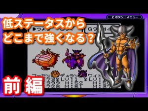 【デュラン・ワイトキング】低ステータスからLv９９でどこまで強くなる？前編【テリワン】