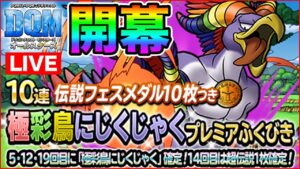 【DQM】オールスターズ第2弾スタートのハロウィンガチャ＆みん冒も行くぞ!!【ドラクエ】