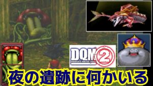 #４３　夜の遺跡　ローズバトラーが潜む部屋　 DQMジョーカー２　シャークマジュ　メタルキングなど　kazuboのゲーム実況