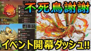 【ドラクエタクト】不死鳥謝謝!!イベント開幕ダッシュ!!