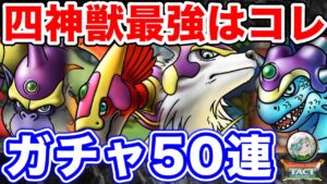 【ドラクエタクト】四神獣おすすめキャラ＆ガチャ50連！〔DQMJ・タクト〕