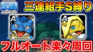 【DQM】三連組手S縛り＆フルオート周回パ紹介!! テリー＆ミレーユを集めよう!!【ドラクエ】