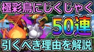 【DQMSL】極彩鳥にじくじゃく実装！引くべき理由を徹底解説&50連！！！