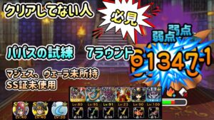 [DQMSL]クリアしてない方必見！パパスの試練夏ヴェーラ&マジェスなし！SSランクの証なしで7ラウンド攻略[スーパーライト][ドラクエ][無課金]
