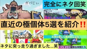 【ドラクエウォーク】極GETしてる？直近極モンスター5選紹介します（ネタ回）