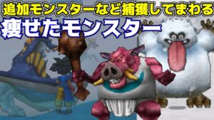#15 DQMジョーカー2プロ 追加モンスターなど捕獲してまわる【DQMJ2P】kazuboのゲーム実況