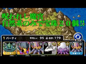 【DQMSL】呪われし魔宮　自然系のみで宝珠２０個ミッション‼︎