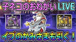 【DQMSL】子ネコのおねがい周回LIVE！最後にイブのかみさまガチャも引くで！！！