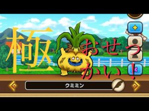【ドラクエウォーク】タマネギ極おせっかい！　使える？？？