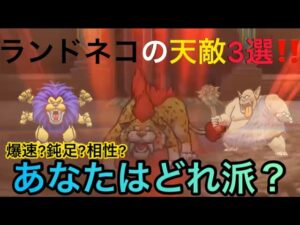 【ドラクエウォーク】ランドネコ対策モンスターはコレだ‼︎天敵3選を紹介‼︎