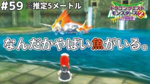 【上には上がいる】モンスター1体1体のレベルがエグい。宿り木の世界のモンスター恐るべし。ドラゴンクエストモンスターズ2イルルカを実況プレイ!