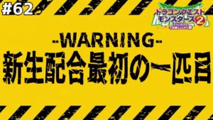 【爆誕】〇〇を記念すべき一発目の新生配合モンスターとして選びました！ドラゴンクエストモンスターズ2イルルカを実況プレイ！