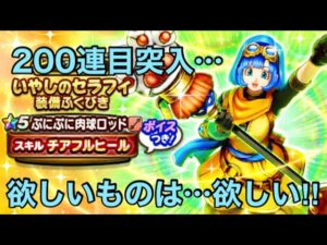 【ドラクエウォーク】ぷにぷに…200連かけても欲しいぞ‼︎