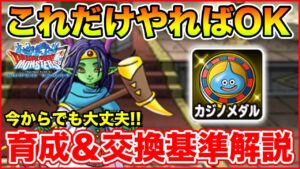 【祝9周年】これだけやればOK!! 最低限やるべきこと＆シンリエッグ交換基準解説!!【ドラクエ】