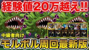 【DQMSL】経験値がめちゃくちゃウマい…!!モルボルパニック最新版AI周回!!【ドラクエ】