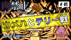 #終  ［クリア後❼］肉を使わずにカメハとテリーを倒す 【ドラクエモンスターズ２~イルの冒険~/GB版】