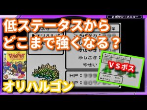 【オリハルゴン】低ステータスからLv９９でどこまで強くなる？【イルルカGB実況】