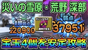 【DQMSL】災いの雪原・荒野深部 宝玉4個を安定攻略！！！【災いの魔境】