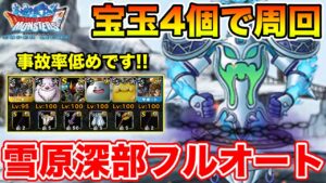 【DQMSL】災いの雪原深部を宝玉4個でフルオート周回!!【ドラクエ】
