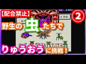 【挑戦】②野生の虫系モンスター達でりゅうおうに勝てるのか⁉【テリワンレトロ実況】