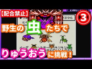 【挑戦】③野生の虫系モンスター達でりゅうおうに勝てるのか⁉【テリワンレトロ実況】