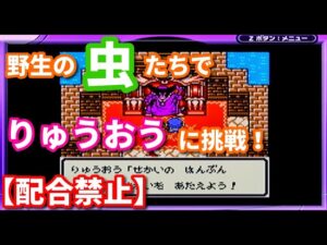 【挑戦】野生の虫系モンスター達でりゅうおうに勝てるのか⁉【テリワンレトロ実況】