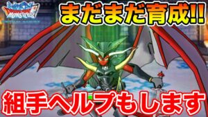 【DQMSL】育成しながら組手困ってる人質問会!!【ドラクエ】