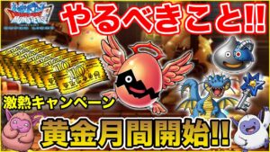 【DQMSL】GW激熱!! 黄金月間キャンペーン始まる!! やるべきことまとめ!!【ドラクエ】