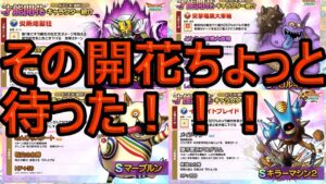 【ドラクエタクト】そのSランクの才能開花ちょっとまった！！迷ってるかた一回みてください。