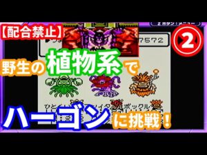 【挑戦】②野生の植物系モンスター達でハーゴンに勝てるのか⁉【テリワンレトロ実況】
